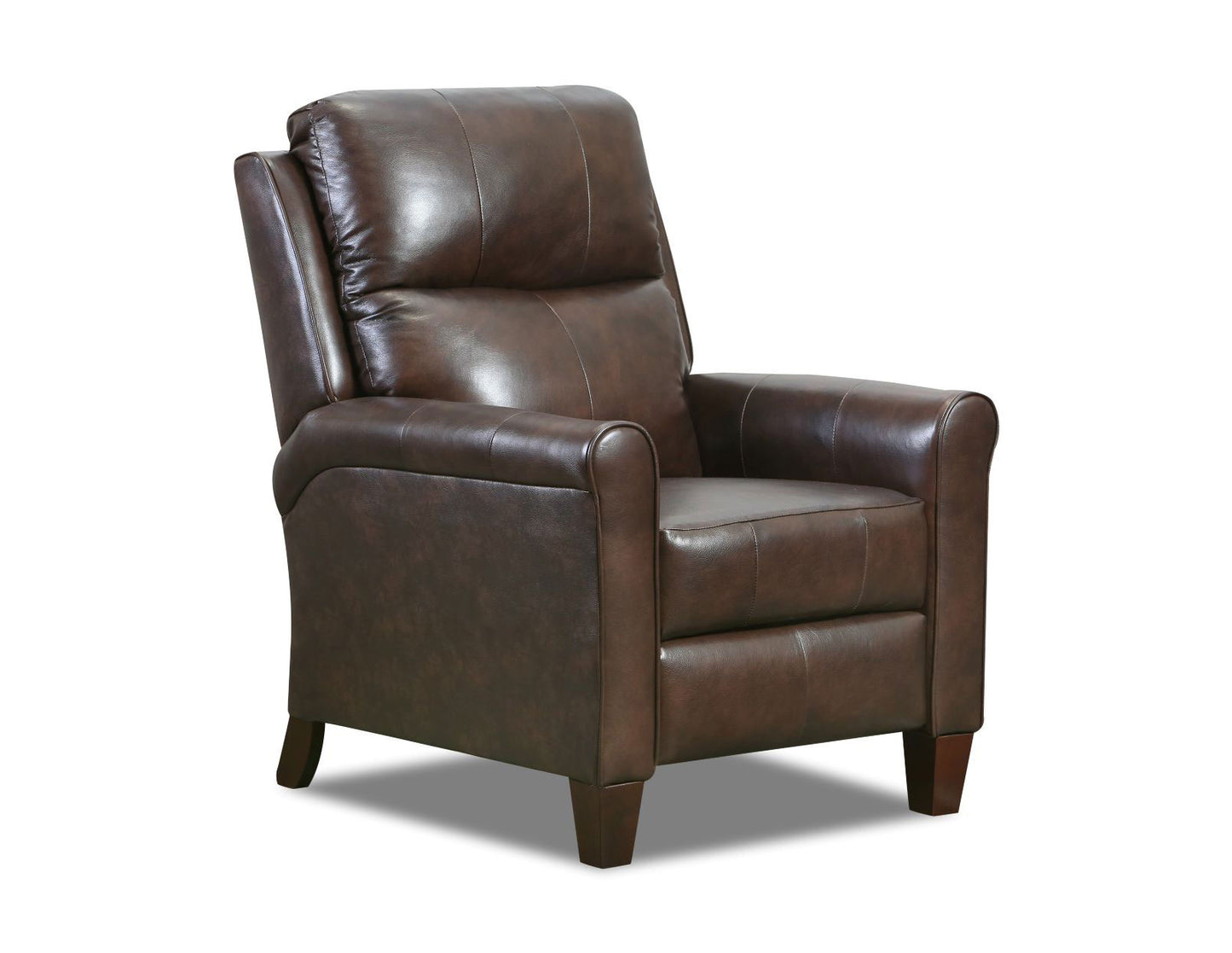 Southern Motion Pep Talk Recliner